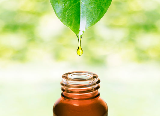 The Truth About Clean Beauty