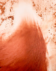 colors from cheek powder