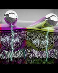 NEUROTRIS DYNAMIC MICROCURRENT FACE/NECK PACKAGE