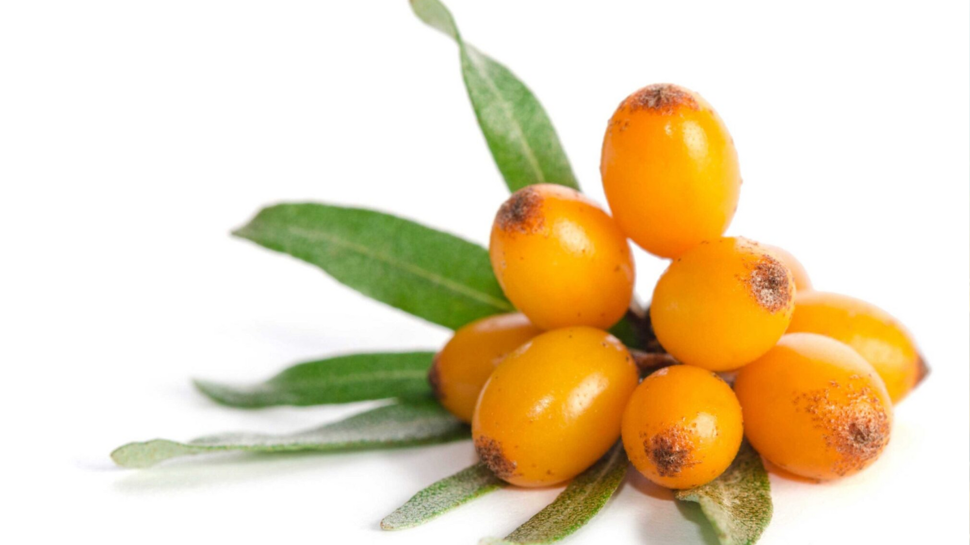 Eating With Intention: Why Nutrition Is the First Beauty Ritual