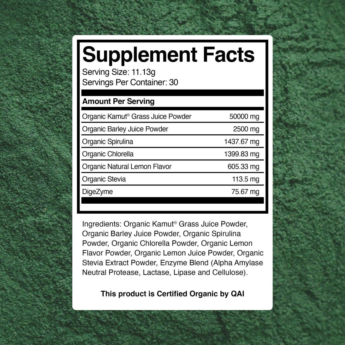 Essential Daily Greens Protein Powder - 30 Day Supply