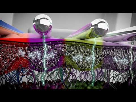 NEUROTRIS DYNAMIC MICROCURRENT FACE/NECK PACKAGE
